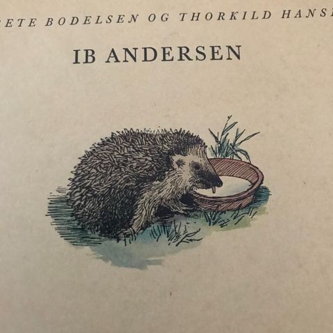 Annoncebillede