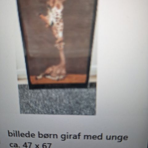 Annoncebillede