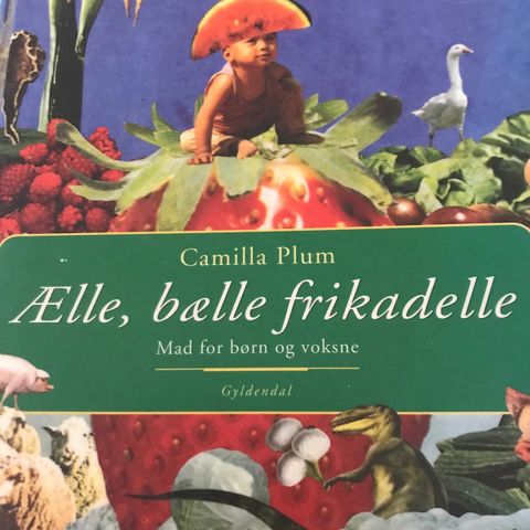 Annoncebillede
