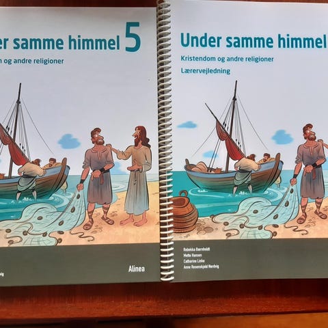Annoncebillede