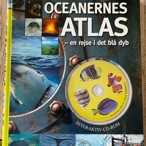 Annoncebillede