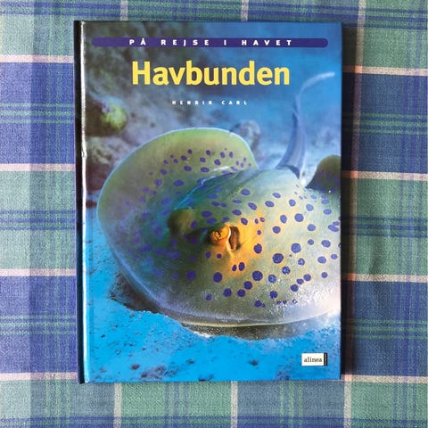 Annoncebillede