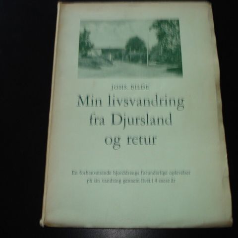 Annoncebillede