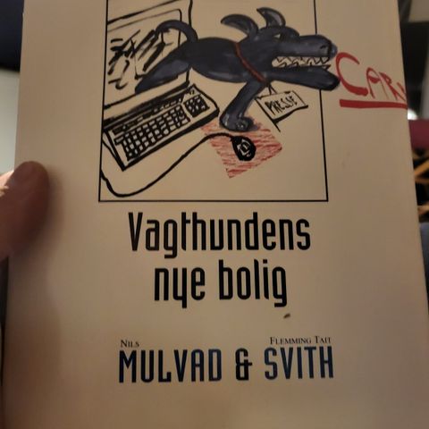 Annoncebillede