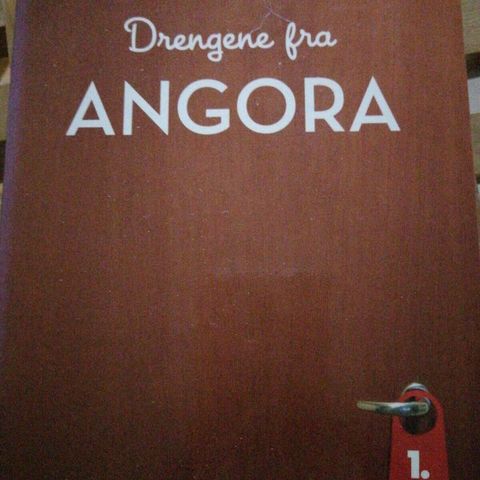 Annoncebillede