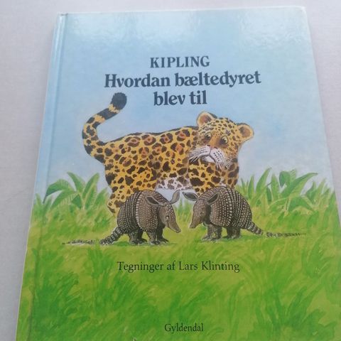 Annoncebillede