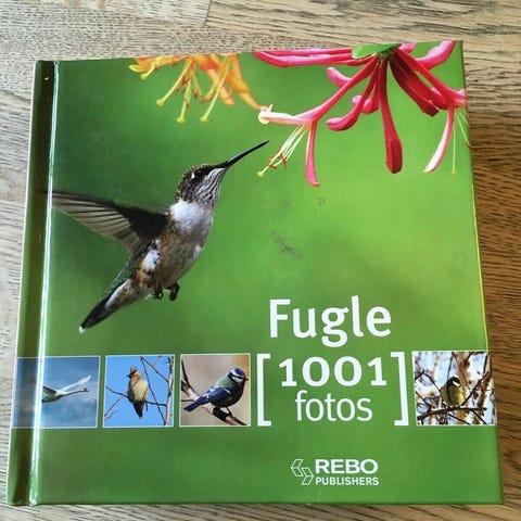 Annoncebillede