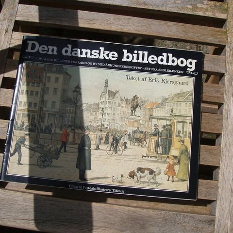 Annoncebillede
