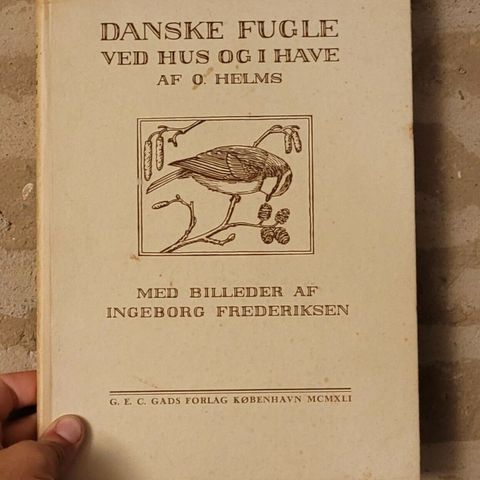 Annoncebillede