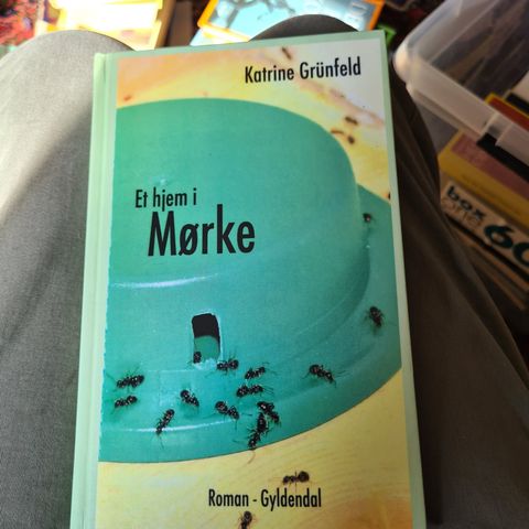 Annoncebillede