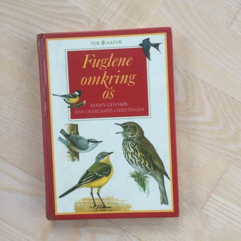 Annoncebillede