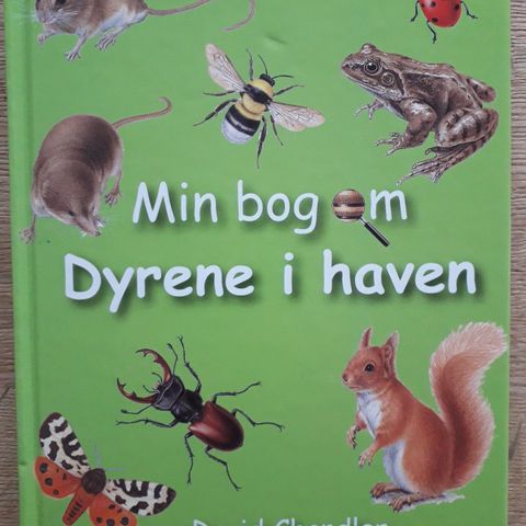 Annoncebillede