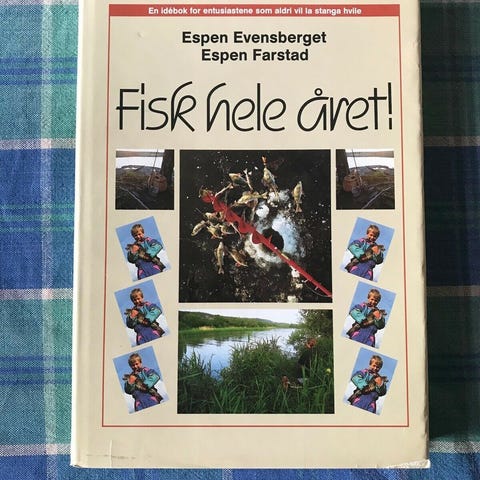 Annoncebillede