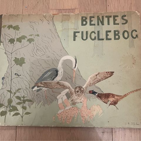 Annoncebillede