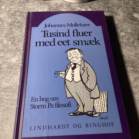 Annoncebillede