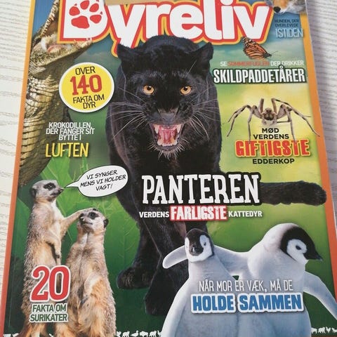 Annoncebillede