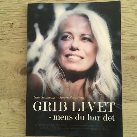 Annoncebillede