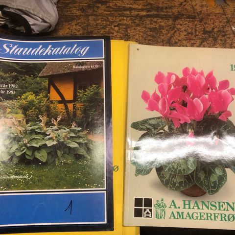 Annoncebillede