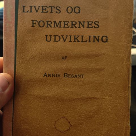 Annoncebillede