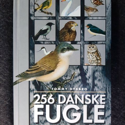 Annoncebillede