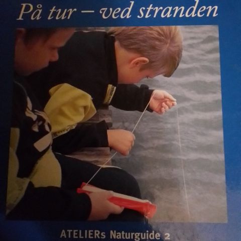 Annoncebillede