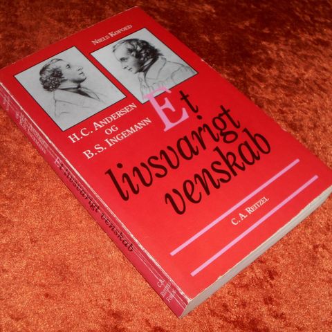 Annoncebillede