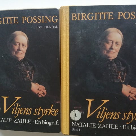 Annoncebillede
