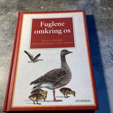Annoncebillede