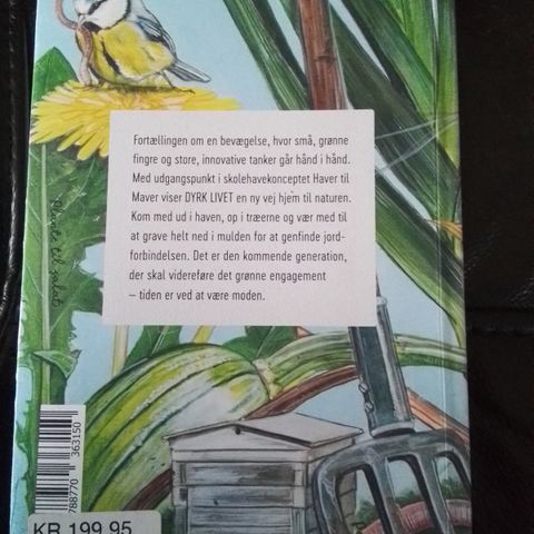 Annoncebillede