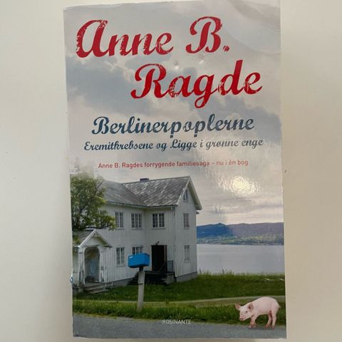 Annoncebillede
