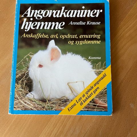 Annoncebillede