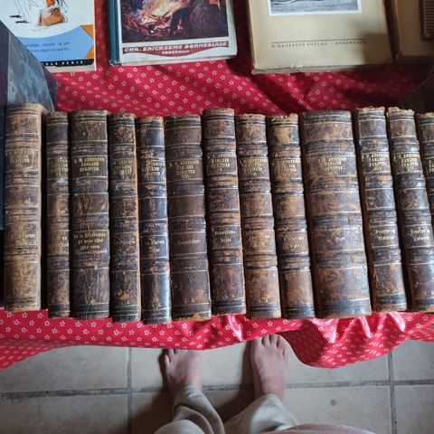 Annoncebillede