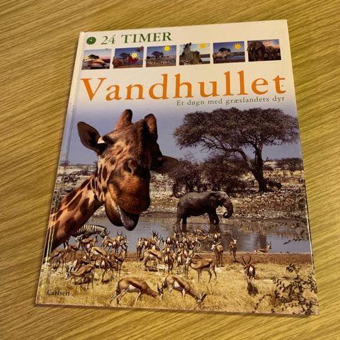 Annoncebillede