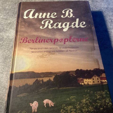 Annoncebillede