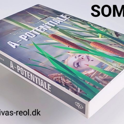 Annoncebillede