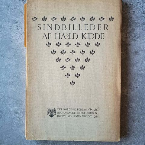 Annoncebillede