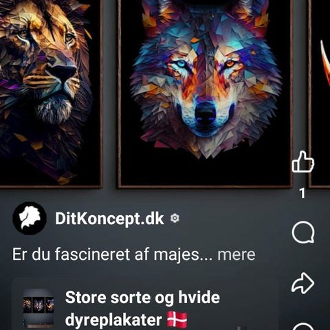 Annoncebillede