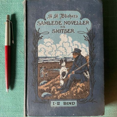 Annoncebillede