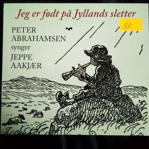 Annoncebillede