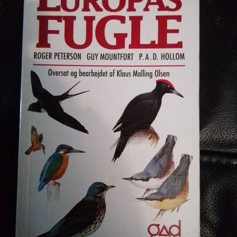 Annoncebillede