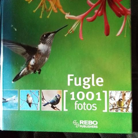 Annoncebillede