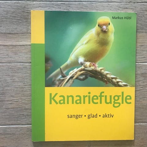 Annoncebillede