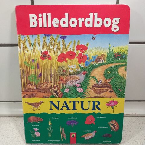 Annoncebillede