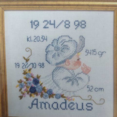 Annoncebillede