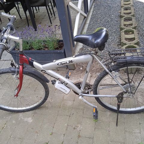 Annoncebillede