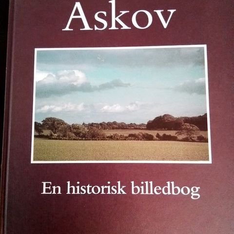 Annoncebillede
