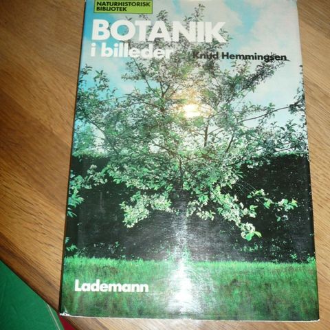 Annoncebillede