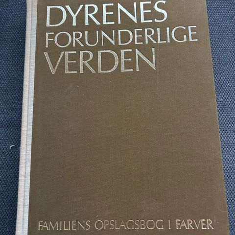 Annoncebillede