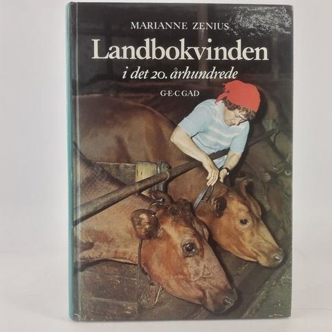 Annoncebillede