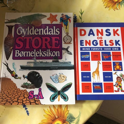 Annoncebillede